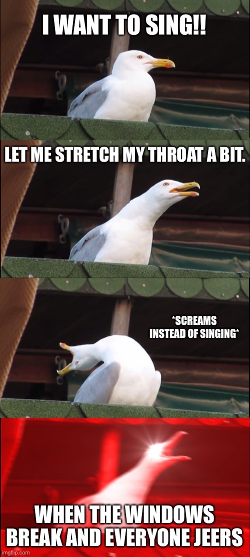 Inhaling Seagull | I WANT TO SING!! LET ME STRETCH MY THROAT A BIT. *SCREAMS INSTEAD OF SINGING*; WHEN THE WINDOWS BREAK AND EVERYONE JEERS | image tagged in memes,inhaling seagull | made w/ Imgflip meme maker