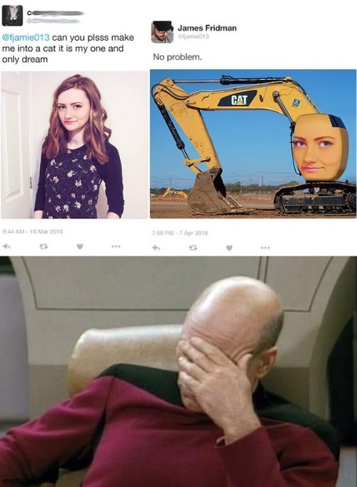 Can't unpicture that anymore | image tagged in memes,captain picard facepalm,funny,cat,cats,photoshop | made w/ Imgflip meme maker