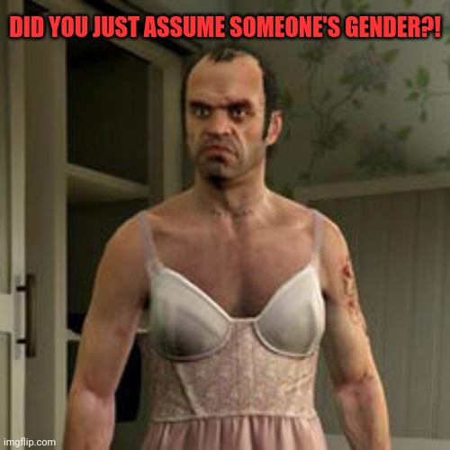 DID YOU JUST ASSUME SOMEONE'S GENDER?! | image tagged in trevor phillips | made w/ Imgflip meme maker