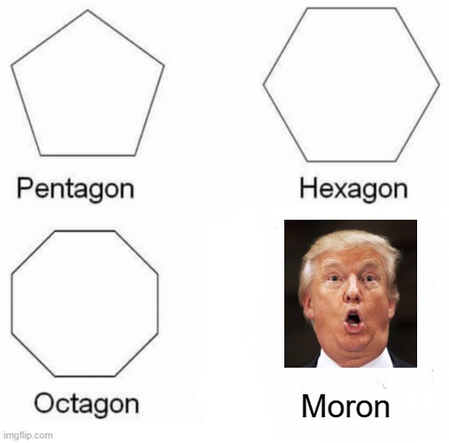 Please, slow the testing down | Moron | image tagged in memes,pentagon hexagon octagon,donald trump is an idiot,coronavirus,death,maga | made w/ Imgflip meme maker