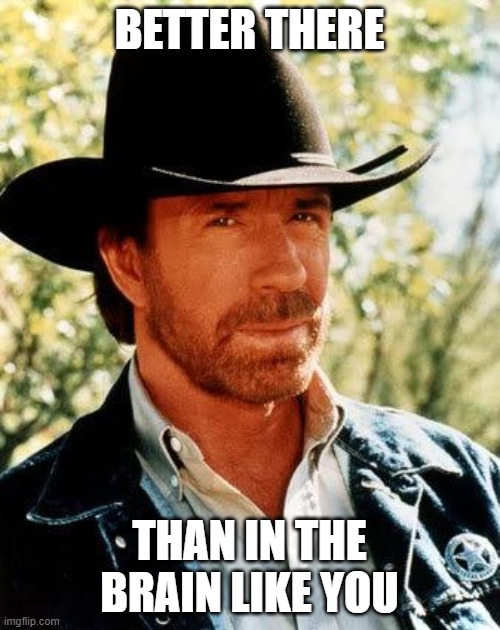 Chuck Norris Meme | BETTER THERE THAN IN THE BRAIN LIKE YOU | image tagged in memes,chuck norris | made w/ Imgflip meme maker