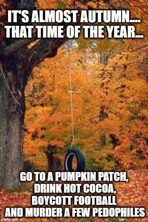 Autumn is just around the corner.. | IT'S ALMOST AUTUMN....
THAT TIME OF THE YEAR... GO TO A PUMPKIN PATCH,
 DRINK HOT COCOA, BOYCOTT FOOTBALL
 AND MURDER A FEW PEDOPHILES | image tagged in autumn,pumpkin,murder,pedophile,football | made w/ Imgflip meme maker