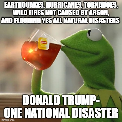 He Can't Fix Anything, The Why Is This All Happening To Me Now President, But That's None Of My Business | EARTHQUAKES, HURRICANES, TORNADOES, WILD FIRES NOT CAUSED BY ARSON, AND FLOODING YES ALL NATURAL DISASTERS; DONALD TRUMP- ONE NATIONAL DISASTER | image tagged in memes,but that's none of my business,kermit the frog,donald trump is an idiot,donald trump the clown,trump russia collusion | made w/ Imgflip meme maker