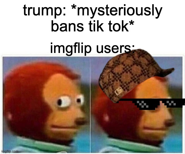ban tik tok pls trump | trump: *mysteriously bans tik tok*; imgflip users: | image tagged in memes,monkey puppet,tik tok,trump | made w/ Imgflip meme maker