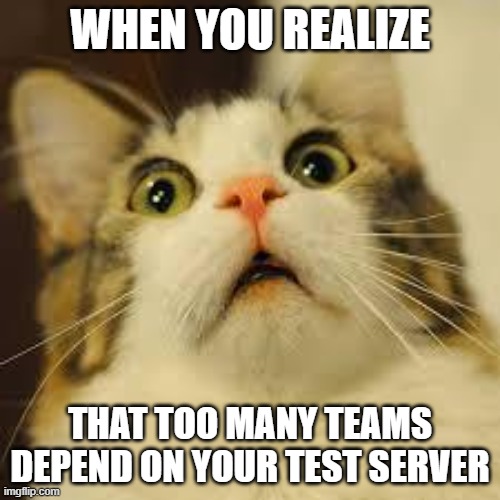 Too many Teams |  WHEN YOU REALIZE; THAT TOO MANY TEAMS DEPEND ON YOUR TEST SERVER | image tagged in scared cat,dev,test server,staging,environment,server | made w/ Imgflip meme maker