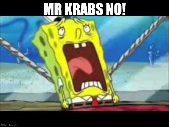 Spongebob scream | MR KRABS NO! | image tagged in spongebob scream | made w/ Imgflip meme maker