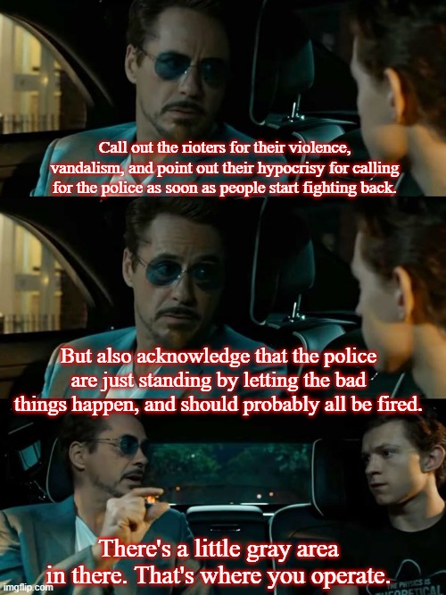 Tony Stark Grey Area | Call out the rioters for their violence, vandalism, and point out their hypocrisy for calling for the police as soon as people start fighting back. But also acknowledge that the police are just standing by letting the bad things happen, and should probably all be fired. | image tagged in tony stark grey area | made w/ Imgflip meme maker
