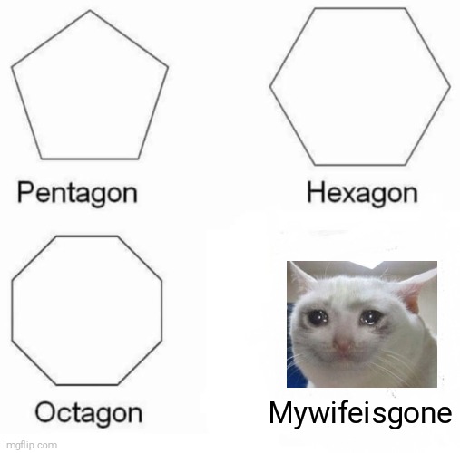 Sad | Mywifeisgone | image tagged in memes,pentagon hexagon octagon | made w/ Imgflip meme maker