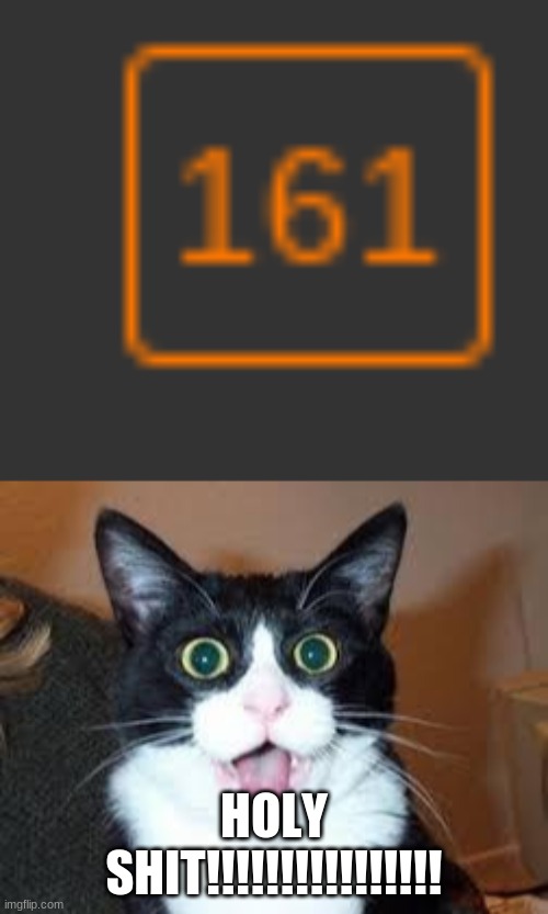 leave for one night and this happenes | HOLY SHIT!!!!!!!!!!!!!!!! | image tagged in holy shit are you sexy | made w/ Imgflip meme maker