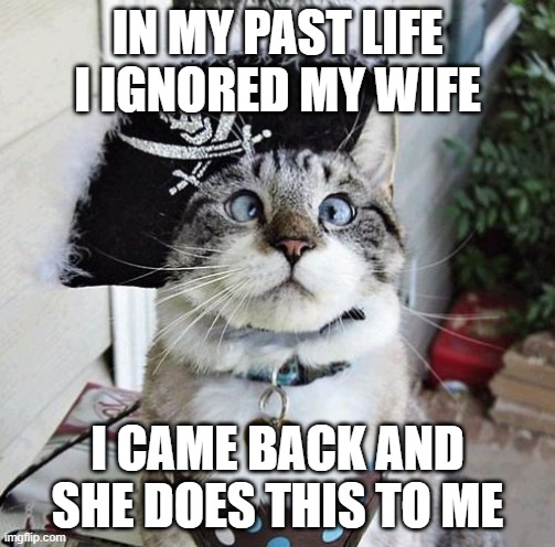 Talk about Karma! | IN MY PAST LIFE I IGNORED MY WIFE; I CAME BACK AND SHE DOES THIS TO ME | image tagged in memes,spangles | made w/ Imgflip meme maker
