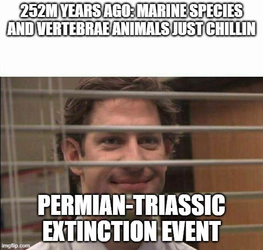 no chillin allowed in earth | 252M YEARS AGO: MARINE SPECIES AND VERTEBRAE ANIMALS JUST CHILLIN; PERMIAN-TRIASSIC EXTINCTION EVENT | image tagged in earth | made w/ Imgflip meme maker