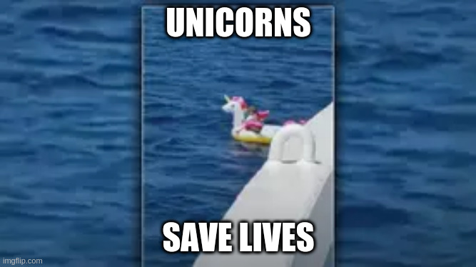 They exist and are useful |  UNICORNS; SAVE LIVES | image tagged in unicorns,help | made w/ Imgflip meme maker