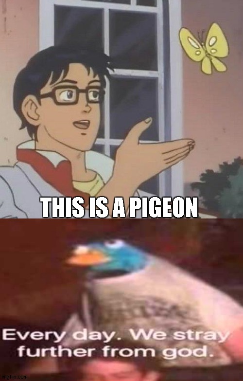 can't post in surreal_memes coz the mod be picky like f | THIS IS A PIGEON | image tagged in memes,is this a pigeon,everyday we stray further from god | made w/ Imgflip meme maker