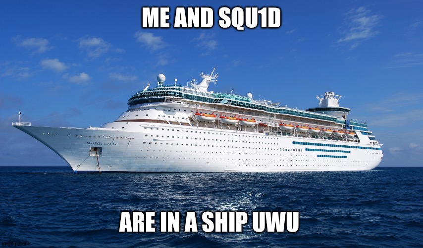 Cruise Ship | ME AND SQU1D; ARE IN A SHIP UWU | image tagged in cruise ship | made w/ Imgflip meme maker