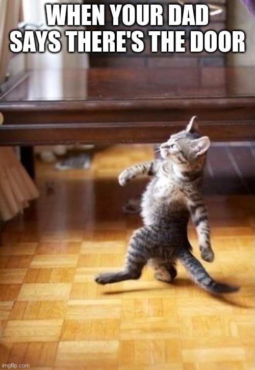 Cool Cat Stroll | WHEN YOUR DAD SAYS THERE'S THE DOOR | image tagged in memes,cool cat stroll | made w/ Imgflip meme maker