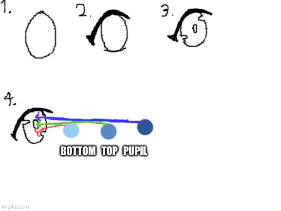 How to draw eyes tutorial! This is my first tutorial so hope this is helpful ; • v • | BOTTOM   TOP   PUPIL | image tagged in blank white template | made w/ Imgflip meme maker