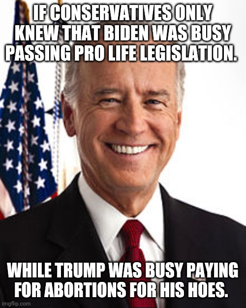 Pro life joe | IF CONSERVATIVES ONLY KNEW THAT BIDEN WAS BUSY PASSING PRO LIFE LEGISLATION. WHILE TRUMP WAS BUSY PAYING FOR ABORTIONS FOR HIS HOES. | image tagged in joe biden,donald trump,election 2020,2020 elections,pro life,abortion is murder | made w/ Imgflip meme maker