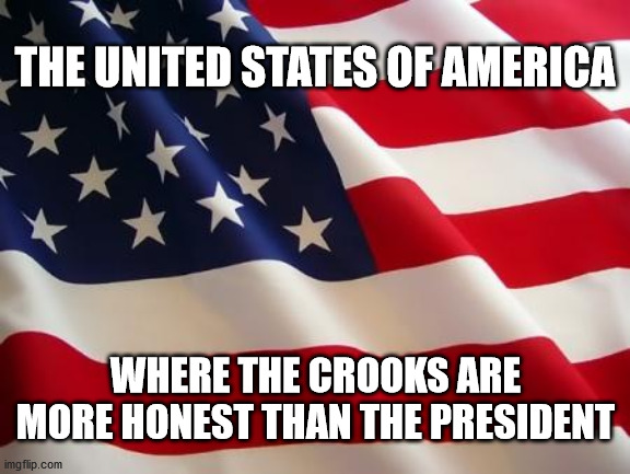 Dishonest Donald | THE UNITED STATES OF AMERICA; WHERE THE CROOKS ARE MORE HONEST THAN THE PRESIDENT | image tagged in american flag,dishonest donald,election 2020,biden,trump | made w/ Imgflip meme maker
