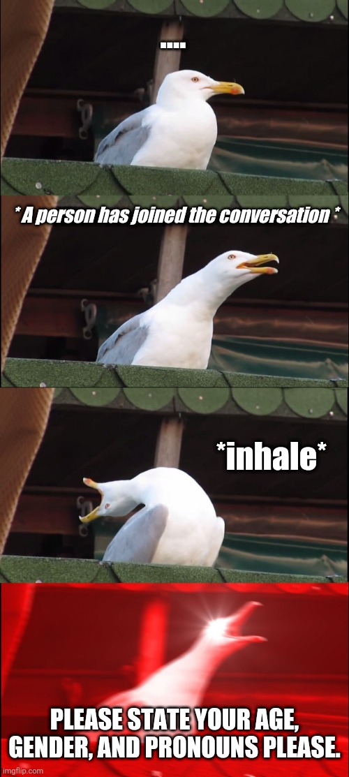 Inhaling Seagull | .... * A person has joined the conversation *; *inhale*; PLEASE STATE YOUR AGE, GENDER, AND PRONOUNS PLEASE. | image tagged in memes,inhaling seagull | made w/ Imgflip meme maker
