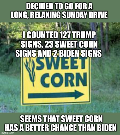 Sweet Corn | DECIDED TO GO FOR A LONG, RELAXING SUNDAY DRIVE; I COUNTED 127 TRUMP SIGNS, 23 SWEET CORN SIGNS AND 2 BIDEN SIGNS; SEEMS THAT SWEET CORN HAS A BETTER CHANCE THAN BIDEN | image tagged in joe biden,yard signs,election 2020,donald trump,ConservativeMemes | made w/ Imgflip meme maker