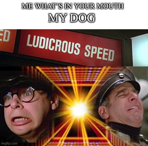 Ludicrous speed | ME WHAT’S IN YOUR MOUTH; MY DOG | image tagged in memes | made w/ Imgflip meme maker