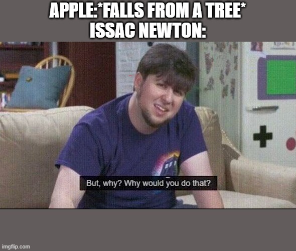 But why why would you do that? | APPLE:*FALLS FROM A TREE*
ISSAC NEWTON: | image tagged in but why why would you do that | made w/ Imgflip meme maker