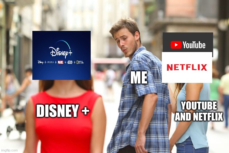 Disney + | ME; YOUTUBE AND NETFLIX; DISNEY + | image tagged in memes,distracted boyfriend | made w/ Imgflip meme maker