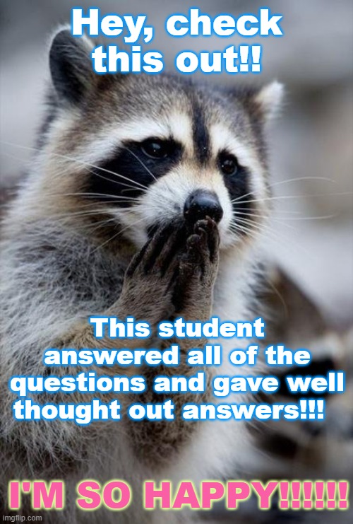 surprised raccoon | Hey, check this out!! This student answered all of the questions and gave well thought out answers!!! I'M SO HAPPY!!!!!! | image tagged in surprised raccoon | made w/ Imgflip meme maker