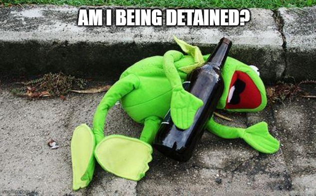 Drunk Kermit | AM I BEING DETAINED? | image tagged in drunk kermit | made w/ Imgflip meme maker