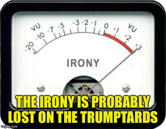 Irony Meter | THE IRONY IS PROBABLY LOST ON THE TRUMPTARDS | image tagged in irony meter | made w/ Imgflip meme maker