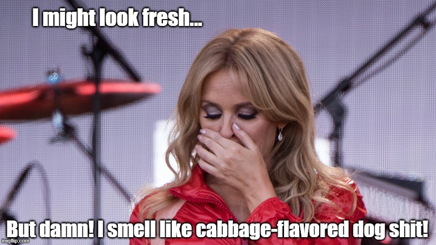 I might look fresh... But damn! I smell like cabbage-flavored dog shit! | made w/ Imgflip meme maker