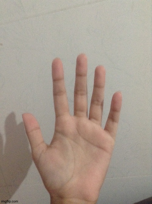 My hand reveal for 20 followers was supposed to do this yesterday | made w/ Imgflip meme maker