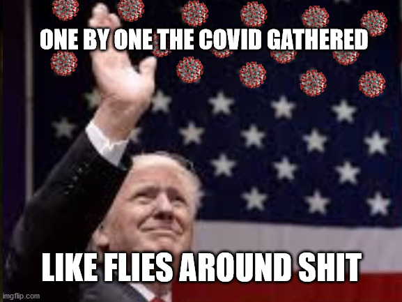 Flies around shit | ONE BY ONE THE COVID GATHERED; LIKE FLIES AROUND SHIT | image tagged in nevertrump,joe biden,election 2020,covid-19 | made w/ Imgflip meme maker