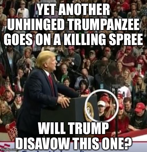 Probably not... | YET ANOTHER UNHINGED TRUMPANZEE GOES ON A KILLING SPREE; WILL TRUMP DISAVOW THIS ONE? | image tagged in trump,mass shooting,riots | made w/ Imgflip meme maker