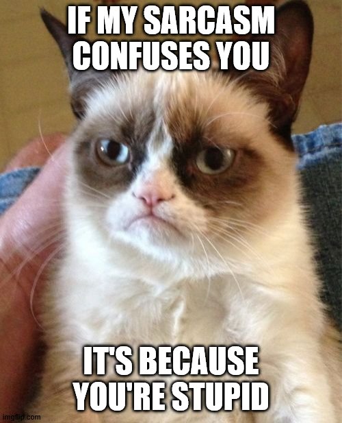 If my sarcasm | IF MY SARCASM CONFUSES YOU; IT'S BECAUSE YOU'RE STUPID | image tagged in memes,grumpy cat | made w/ Imgflip meme maker