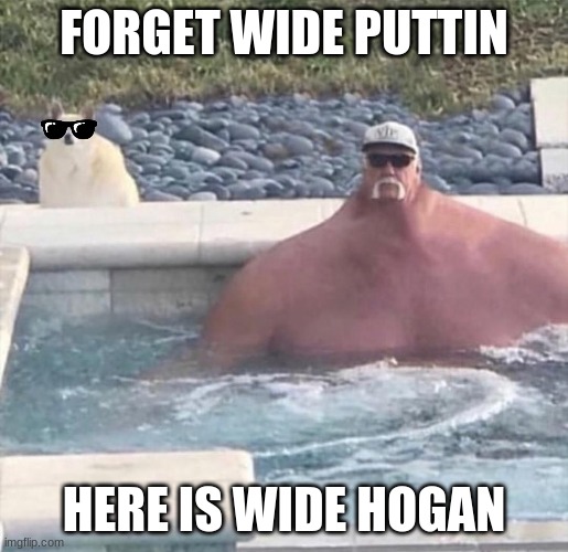 wide hulk hogan | FORGET WIDE PUTTIN; HERE IS WIDE HOGAN | image tagged in wide hogan | made w/ Imgflip meme maker