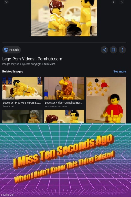LEGO PORN?????? | image tagged in i miss ten seconds ago,memes,legos,lego porn,pornhub,porn | made w/ Imgflip meme maker