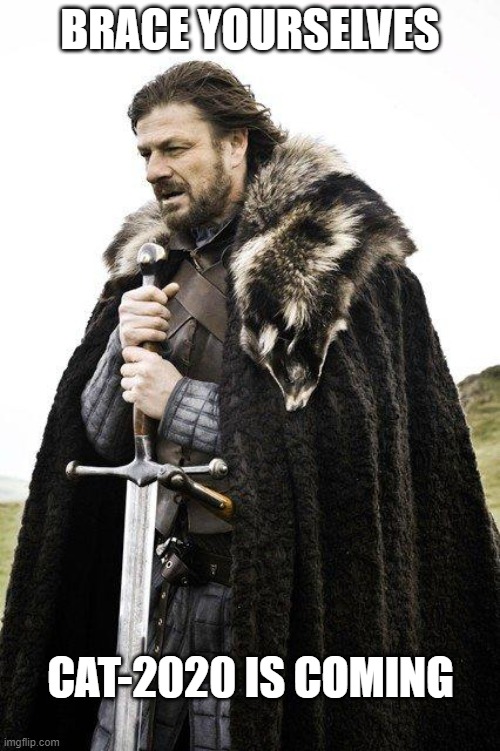 Brace Yourself | BRACE YOURSELVES; CAT-2020 IS COMING | image tagged in brace yourself | made w/ Imgflip meme maker