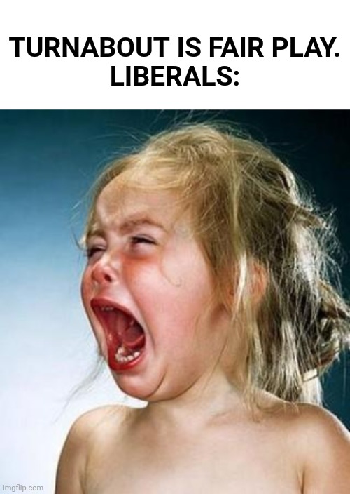 TURNABOUT IS FAIR PLAY.

LIBERALS: | image tagged in blank white template,internet tantrum | made w/ Imgflip meme maker