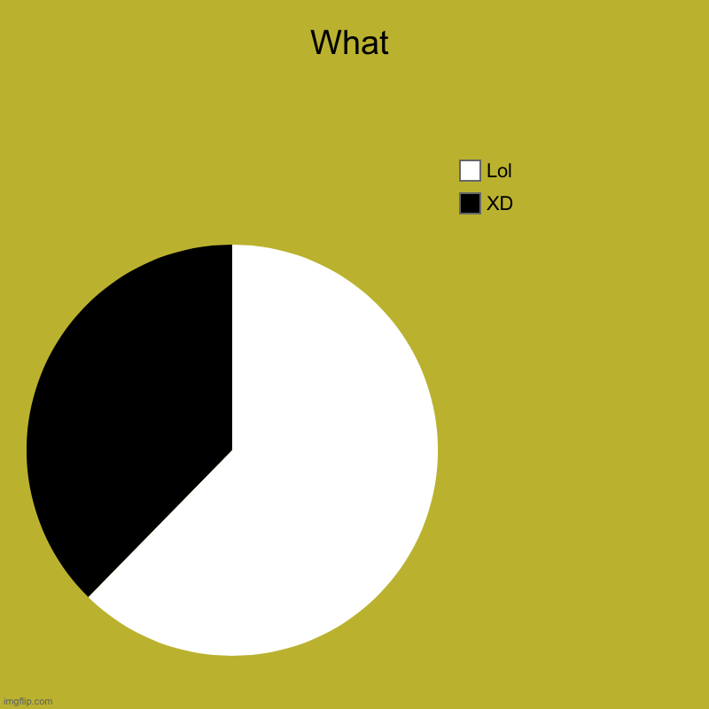 What | XD , Lol | image tagged in charts,pie charts | made w/ Imgflip chart maker
