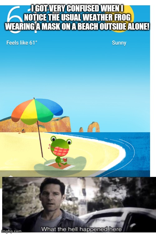 Alone, Outside Wearing a Mask? | I GOT VERY CONFUSED WHEN I NOTICE THE USUAL WEATHER FROG WEARING A MASK ON A BEACH OUTSIDE ALONE! | image tagged in blank white template | made w/ Imgflip meme maker