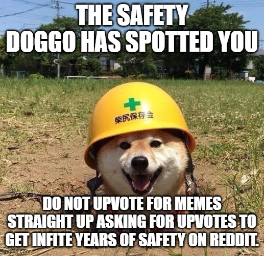 Safety doggo | THE SAFETY DOGGO HAS SPOTTED YOU; DO NOT UPVOTE FOR MEMES STRAIGHT UP ASKING FOR UPVOTES TO GET INFITE YEARS OF SAFETY ON REDDIT. | image tagged in safety doggo,memes | made w/ Imgflip meme maker
