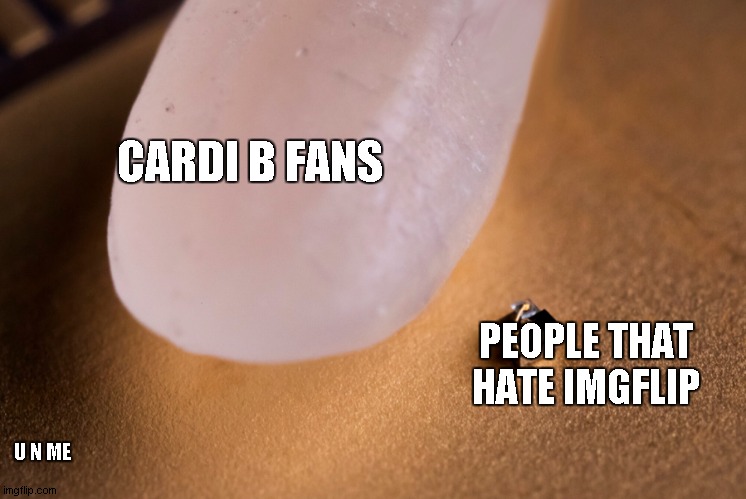 Grain Of Rice | CARDI B FANS PEOPLE THAT HATE IMGFLIP U N ME | image tagged in grain of rice | made w/ Imgflip meme maker