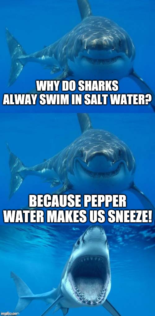Parsley, Sage, Rosemary, and Thyme Water | WHY DO SHARKS ALWAY SWIM IN SALT WATER? BECAUSE PEPPER WATER MAKES US SNEEZE! | image tagged in bad shark pun,memes,salt,pepper | made w/ Imgflip meme maker