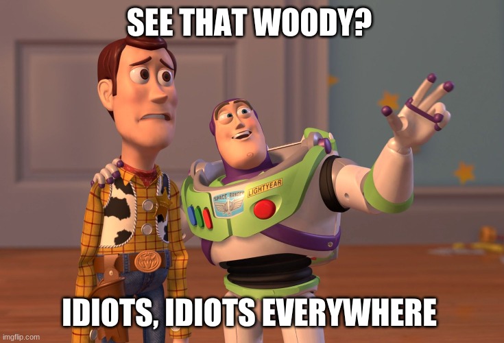 X, X Everywhere | SEE THAT WOODY? IDIOTS, IDIOTS EVERYWHERE | image tagged in memes,x x everywhere | made w/ Imgflip meme maker