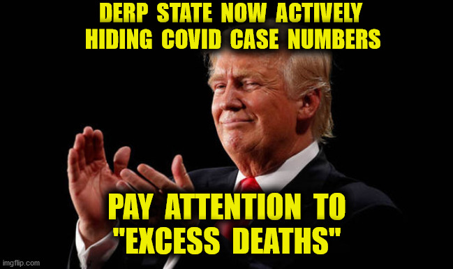 The numbers that really matter | DERP  STATE  NOW  ACTIVELY  HIDING  COVID  CASE  NUMBERS; PAY  ATTENTION  TO
"EXCESS  DEATHS" | image tagged in trump liar,covid-19,cdc,rigged,phony,memes | made w/ Imgflip meme maker