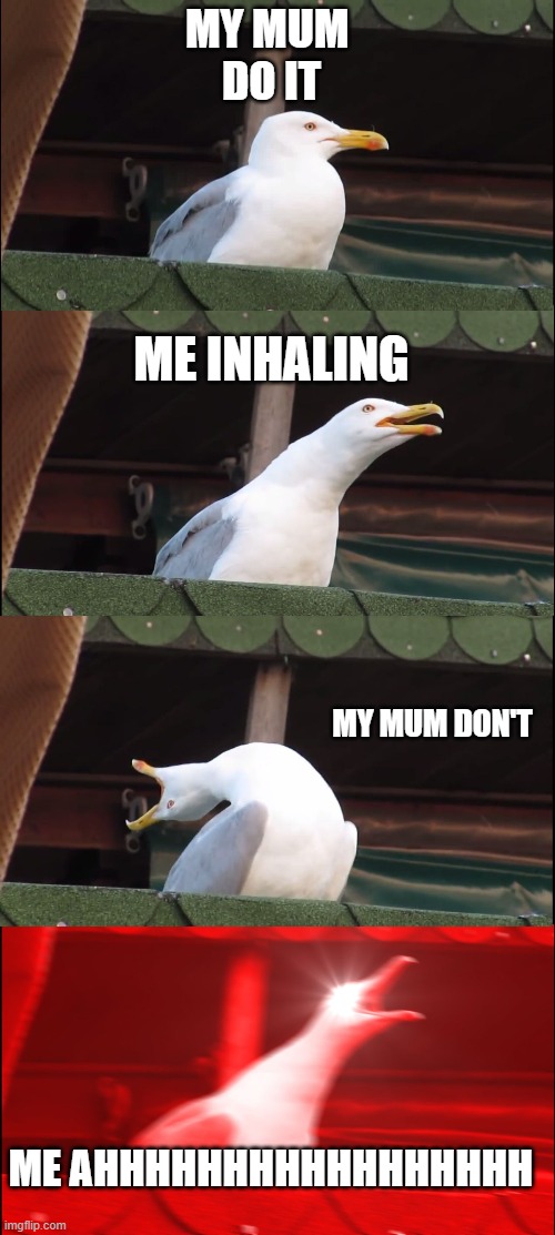 Inhaling Seagull Meme | MY MUM 
DO IT; ME INHALING; MY MUM DON'T; ME AHHHHHHHHHHHHHHHHH | image tagged in memes,inhaling seagull | made w/ Imgflip meme maker