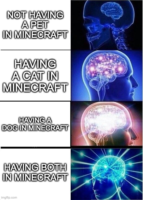 IT never hurts to have both | NOT HAVING A PET IN MINECRAFT; HAVING A CAT IN MINECRAFT; HAVING A DOG IN MINECRAFT; HAVING BOTH IN MINECRAFT | image tagged in memes,expanding brain | made w/ Imgflip meme maker