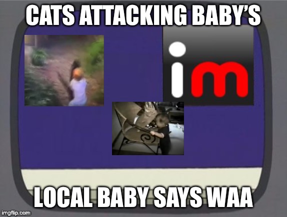 Woah cat calm down | CATS ATTACKING BABY’S; LOCAL BABY SAYS WAA | image tagged in imgflip news | made w/ Imgflip meme maker