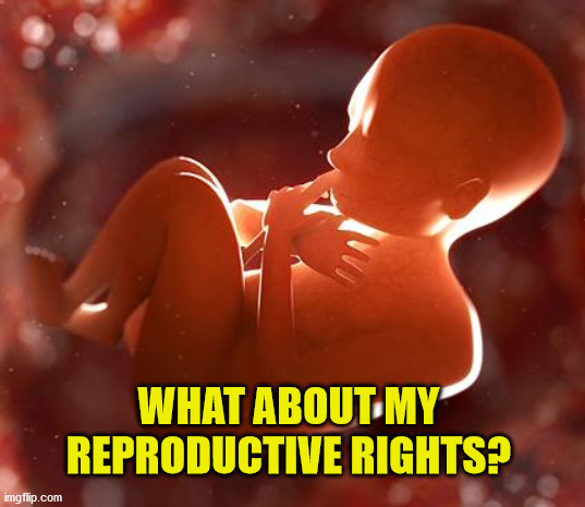 Thinking Fetus Lives Matter | WHAT ABOUT MY REPRODUCTIVE RIGHTS? | image tagged in thinking fetus,pro life,right to life,reproductive rights,liberal logic,compassion | made w/ Imgflip meme maker